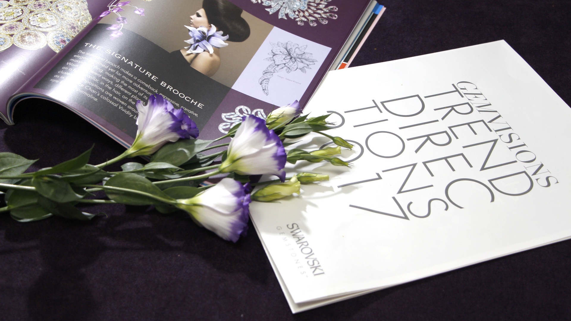 Designs for Gemvisions Trend Books